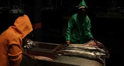 Mancing Ikan Malam Dikejutkan Semburan Gunung Anak Krakatau